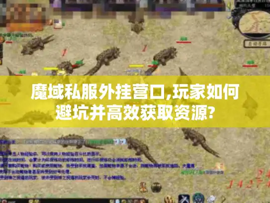 魔域私服外挂营口,玩家如何避坑并高效获取资源? 魔域私服外挂营口,玩家如何避坑并高效获取资源?