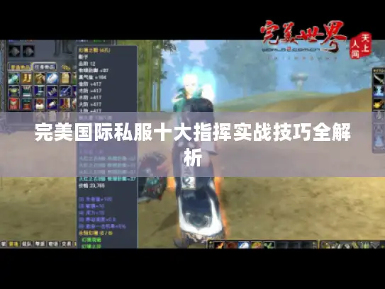 完美国际私服十大指挥实战技巧全解析