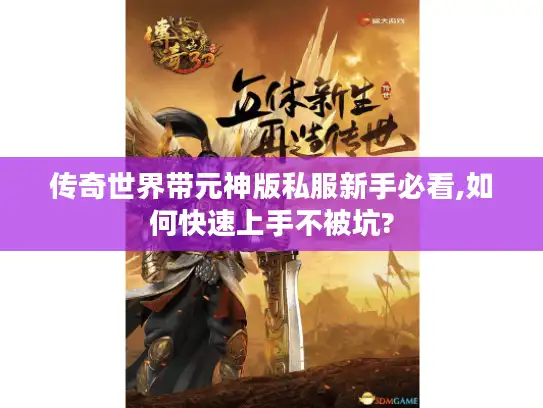 传奇世界带元神版私服新手必看,如何快速上手不被坑?