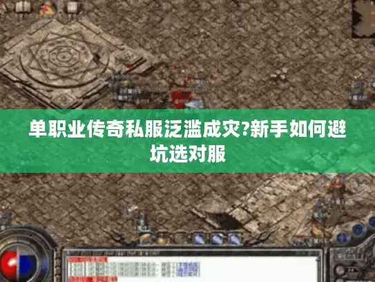 单职业传奇私服泛滥成灾?新手如何避坑选对服