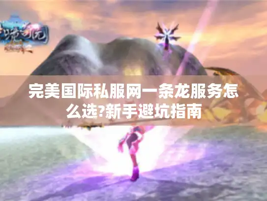 完美国际私服网一条龙服务怎么选?新手避坑指南