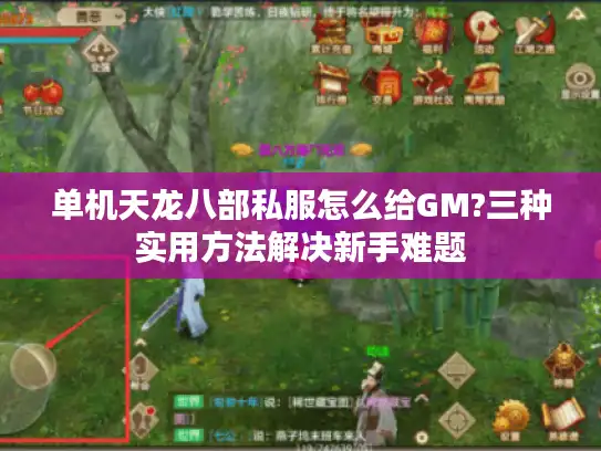 单机天龙八部私服怎么给GM?三种实用方法解决新手难题 单机天龙八部私服怎么给GM?三种实用方法解决新手难题