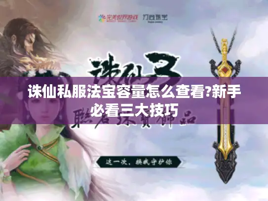 诛仙私服法宝容量怎么查看?新手必看三大技巧 诛仙私服法宝容量怎么查看?新手必看三大技巧