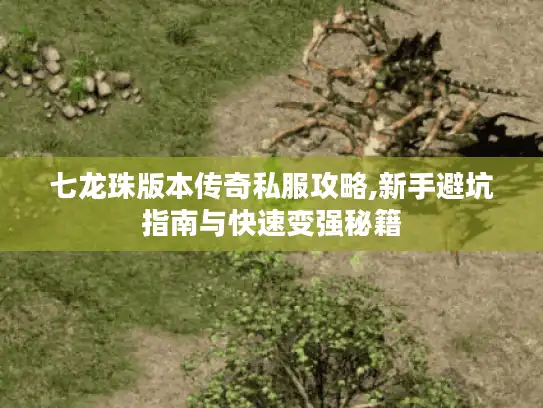 七龙珠版本传奇私服攻略,新手避坑指南与快速变强秘籍