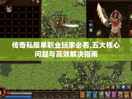 传奇私服单职业玩家必看,五大核心问题与高效解决指南