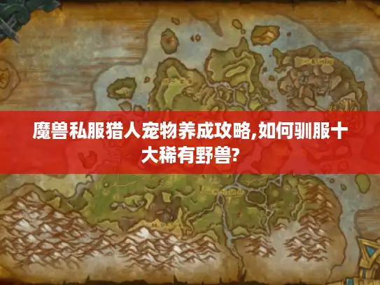 魔兽私服猎人宠物养成攻略,如何驯服十大稀有野兽?