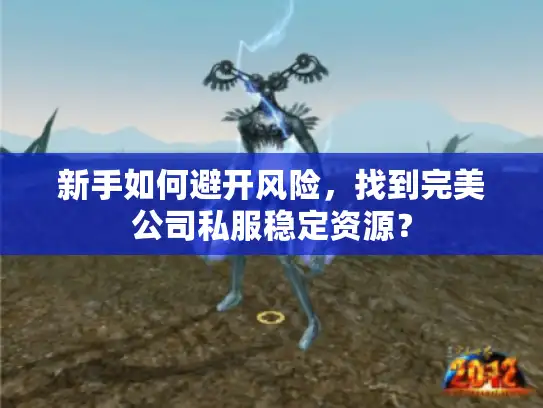 新手如何避开风险,找到完美公司私服稳定资源? 新手如何避开风险,找到完美公司私服稳定资源?