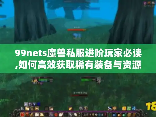 99nets魔兽私服进阶玩家必读,如何高效获取稀有装备与资源?