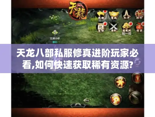 天龙八部私服修真进阶玩家必看,如何快速获取稀有资源?