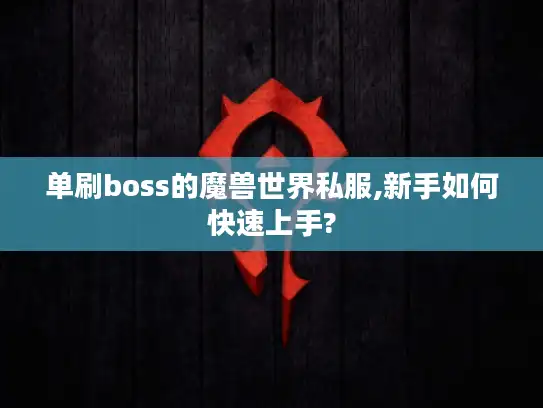 单刷boss的魔兽世界私服,新手如何快速上手? 单刷boss的魔兽世界私服,新手如何快速上手?