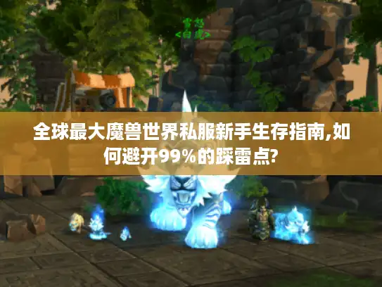 全球最大魔兽世界私服新手生存指南,如何避开99%的踩雷点?