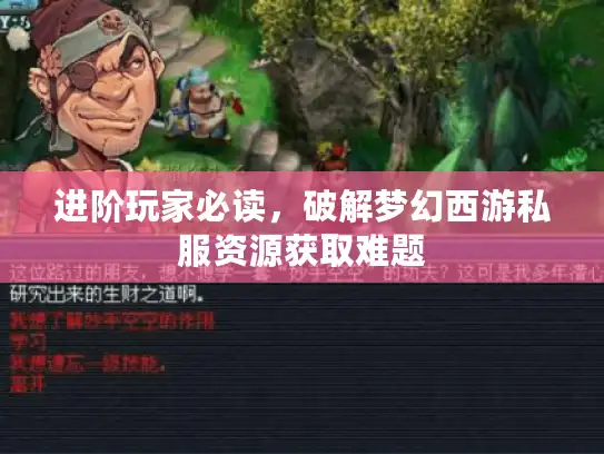 进阶玩家必读，破解梦幻西游私服资源获取难题