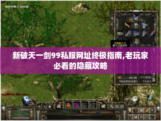 新破天一剑99私服网址终极指南,老玩家必看的隐藏攻略