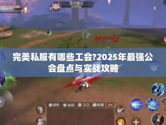 完美私服有哪些工会?2025年最强公会盘点与实战攻略