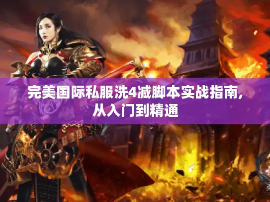 完美国际私服洗4减脚本实战指南,从入门到精通