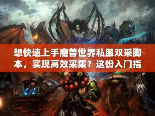 想快速上手魔兽世界私服双采脚本，实现高效采集？这份入门指南别错过！