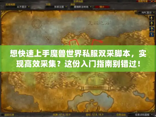 想快速上手魔兽世界私服双采脚本，实现高效采集？这份入门指南别错过！
