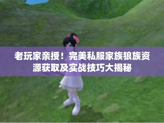 老玩家亲授!完美私服家族狼族资源获取及实战技巧大揭秘 老玩家亲授!完美私服家族狼族资源获取及实战技巧大揭秘