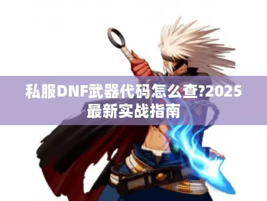 私服DNF武器代码怎么查?2025最新实战指南