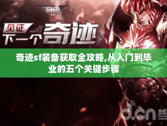 奇迹sf装备获取全攻略,从入门到毕业的五个关键步骤