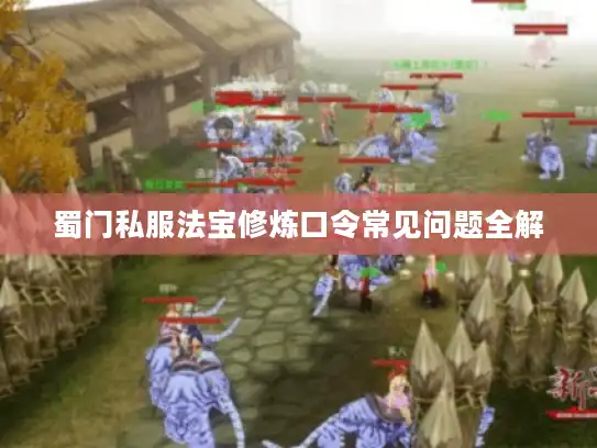 蜀门私服法宝修炼口令常见问题全解 蜀门私服法宝修炼口令常见问题全解