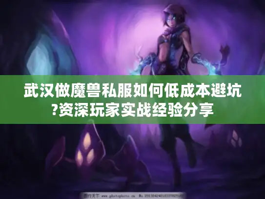 武汉做魔兽私服如何低成本避坑?资深玩家实战经验分享