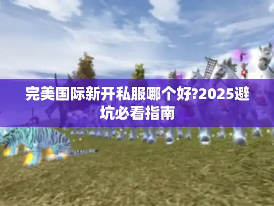完美国际新开私服哪个好?2025避坑必看指南 完美国际新开私服哪个好?2025避坑必看指南