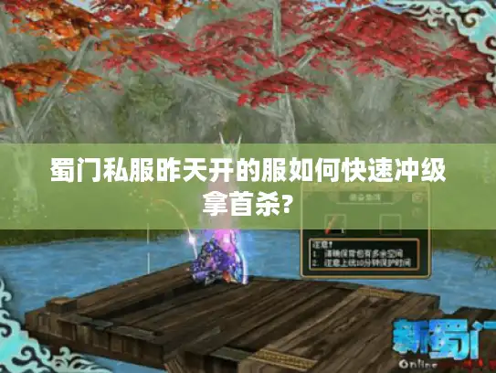 蜀门私服昨天开的服如何快速冲级拿首杀?