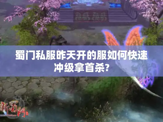 蜀门私服昨天开的服如何快速冲级拿首杀?