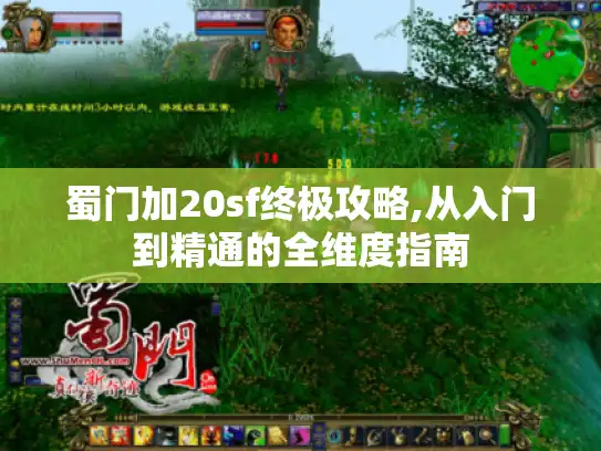 蜀门加20sf终极攻略,从入门到精通的全维度指南