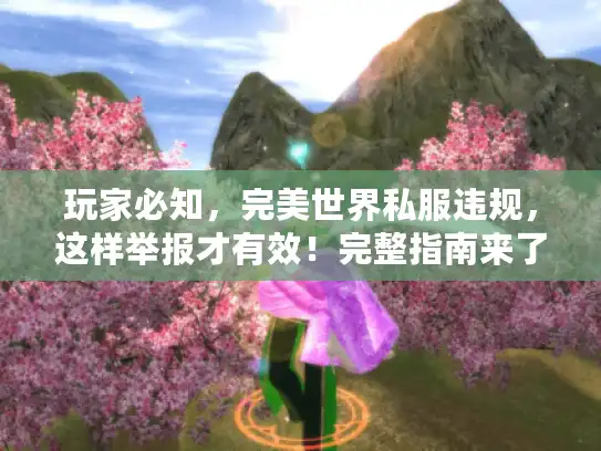 玩家必知，完美世界私服违规，这样举报才有效！完整指南来了