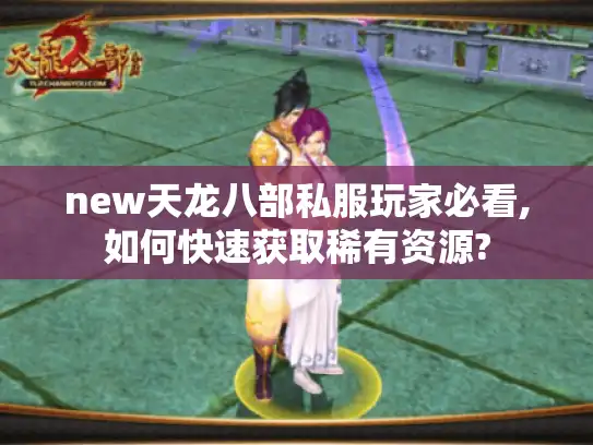 new天龙八部私服玩家必看,如何快速获取稀有资源?