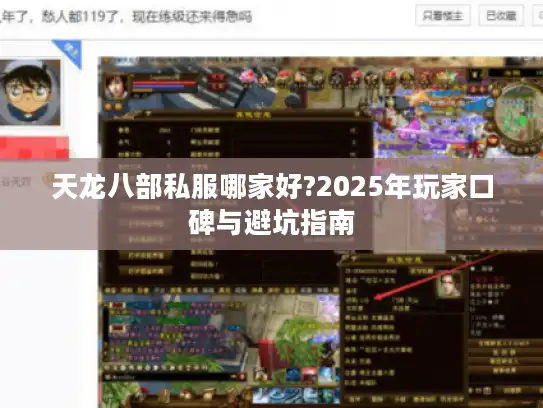 天龙八部私服哪家好?2025年玩家口碑与避坑指南
