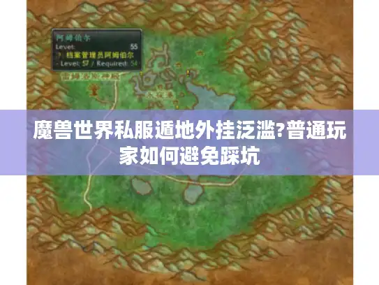 魔兽世界私服遁地外挂泛滥?普通玩家如何避免踩坑 魔兽世界私服遁地外挂泛滥?普通玩家如何避免踩坑