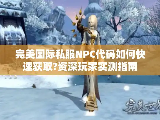 完美国际私服NPC代码如何快速获取?资深玩家实测指南