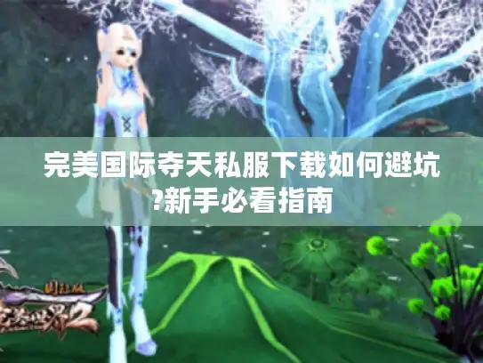 完美国际夺天私服下载如何避坑?新手必看指南