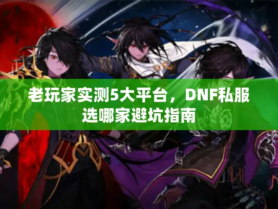 老玩家实测5大平台，DNF私服选哪家避坑指南