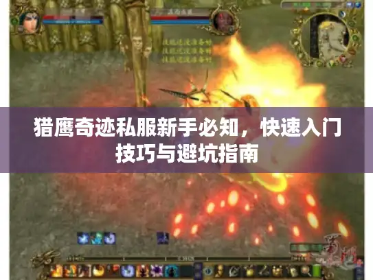 猎鹰奇迹私服新手必知，快速入门技巧与避坑指南