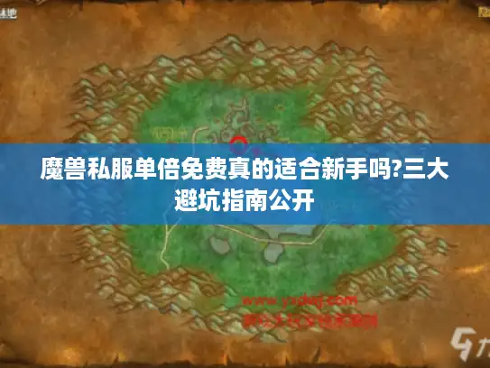 魔兽私服单倍免费真的适合新手吗?三大避坑指南公开