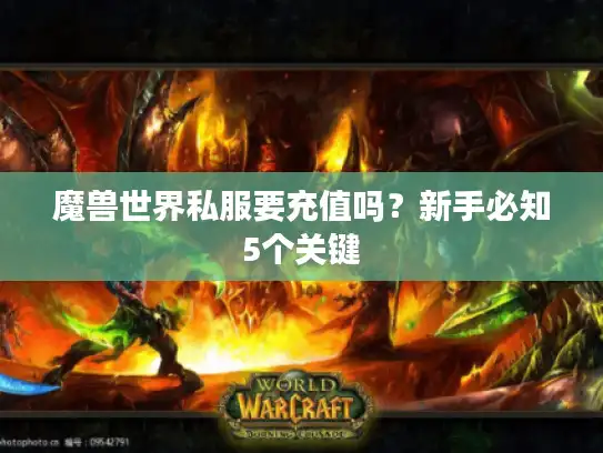魔兽世界私服要充值吗？新手必知5个关键