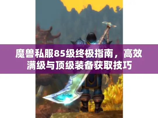 魔兽私服85级终极指南，高效满级与顶级装备获取技巧