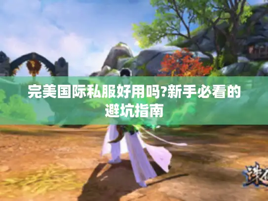 完美国际私服好用吗?新手必看的避坑指南