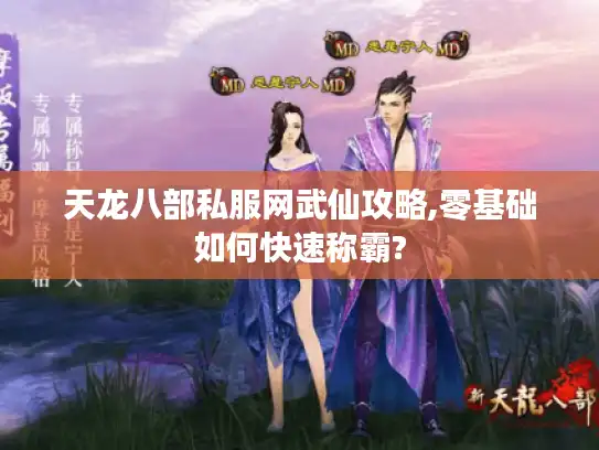 天龙八部私服网武仙攻略,零基础如何快速称霸?