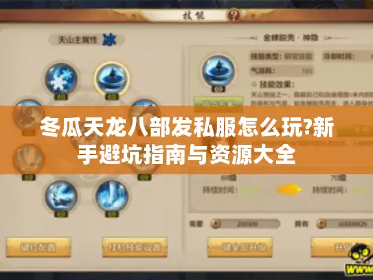 冬瓜天龙八部发私服怎么玩?新手避坑指南与资源大全 冬瓜天龙八部发私服怎么玩?新手避坑指南与资源大全