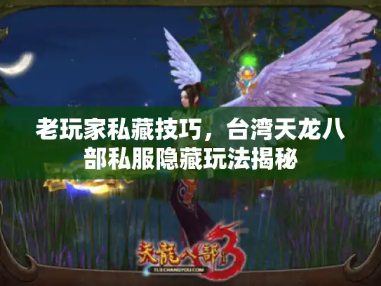 老玩家私藏技巧，台湾天龙八部私服隐藏玩法揭秘