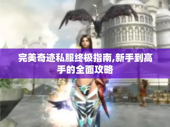 完美奇迹私服终极指南,新手到高手的全面攻略