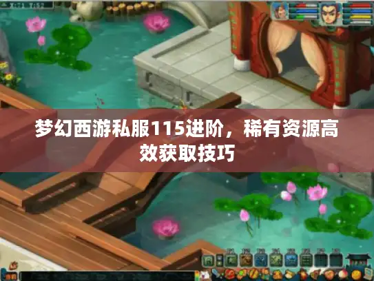 梦幻西游私服115进阶，稀有资源高效获取技巧