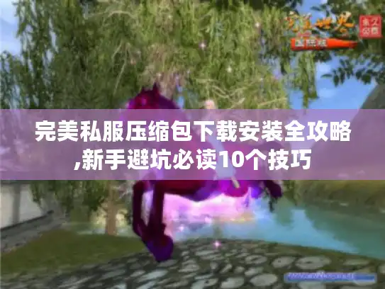 完美私服压缩包下载安装全攻略,新手避坑必读10个技巧