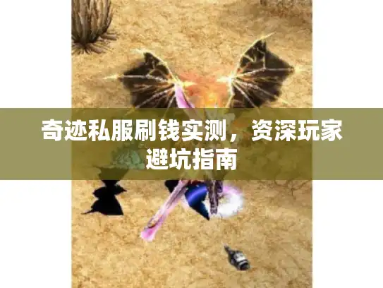 奇迹私服刷钱实测，资深玩家避坑指南