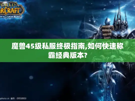 魔兽45级私服终极指南,如何快速称霸经典版本?
